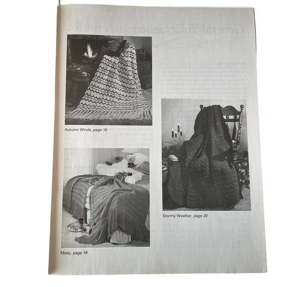 LEISURE ARTS Instruction Book for Six Warm and Cozy Afghans - Picture 3 of 8